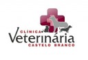 clinica-veterinaria-castelo-branco